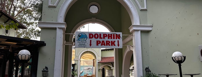 Dolphinarium is one of посетить.