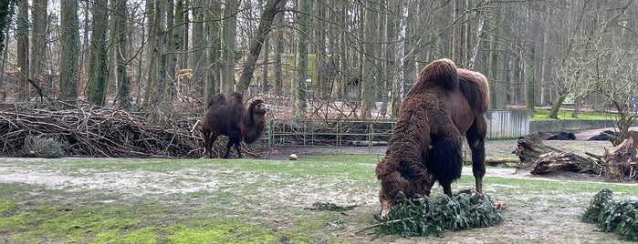 Zoo Rostock is one of Road Trip EU17.