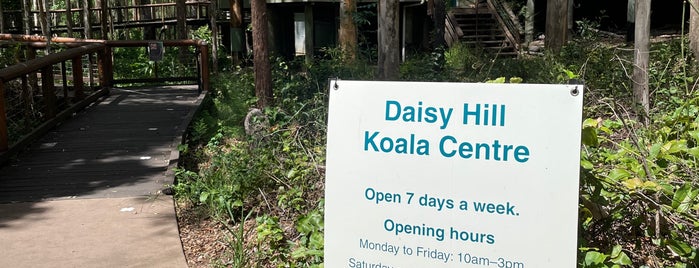 Daisy Hill Koala Centre is one of East Coast, Australia.
