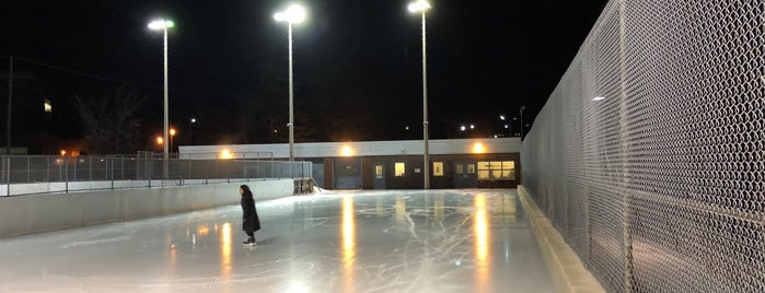 Otter Creek Skating Park is one of Toronto Hockey Rinks.
