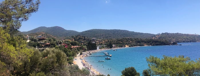 Mavi Yeşil Bungalow & Beach is one of Posti salvati di Ali Can.