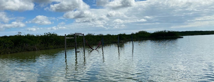 Laguna Kaan Luum is one of Riviera Maya.