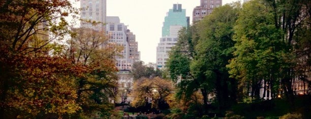 Central Park is one of New-York USA.