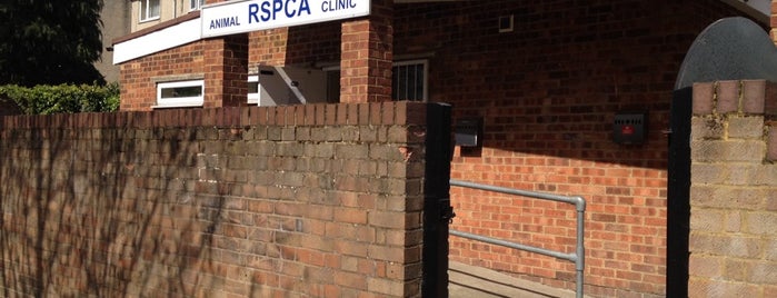 RSPCA Charity Shop is one of London Thrift Shops.