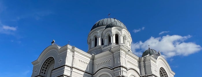 Kauno Šv. arkangelo Mykolo (Įgulos) bažnyčia is one of kauns.