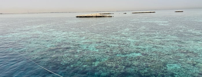 Fanadir North Reef is one of Egypt.