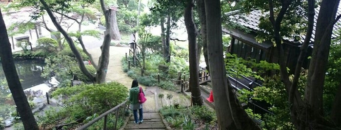 愛宕神社 is one of 東京23区以外(除町田八王子).