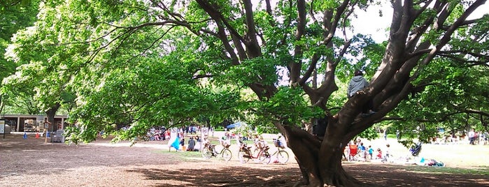 Koganei Park is one of Parks & Gardens in Tokyo / 東京の公園・庭園.