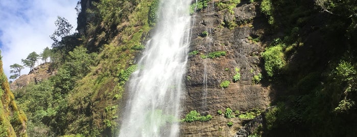 Bomod-ok Falls is one of Tempat yang Disukai Jack.