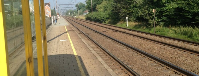 Spoor 2 is one of train stations.
