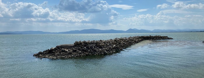 Imbarco Castiglione Del Lago Trasimeno is one of Locais curtidos por Elliott.