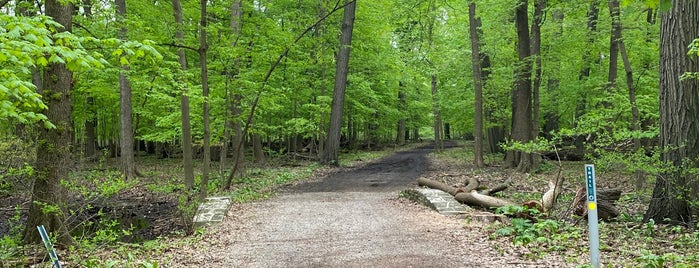 Chippewa Woods is one of Forest Preserves, Parks, and Trails.