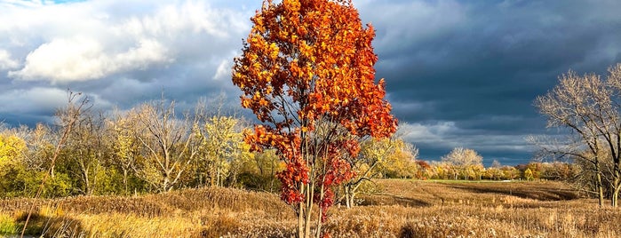 Mayslake Forest Preserve is one of Work.