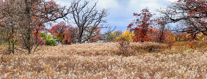 Mayslake Forest Preserve is one of Hiking in Northeast Illinois.