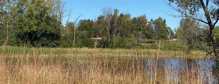Greenbelt Forest Preserve is one of Forest Preserves.