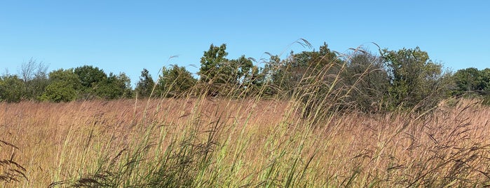 Greenbelt Forest Preserve is one of Parks.