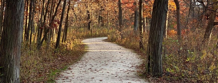 Greene Valley Forest Preserve is one of Activities.