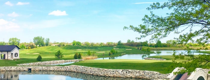 Mistwood Golf Course is one of Chicago Golf Courses.