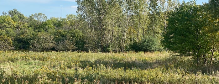 Miller Meadow Forest Preserve (South) is one of Hiking in Northeast Illinois.