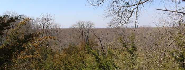 Spring Lake State Park is one of Illinois State Parks.