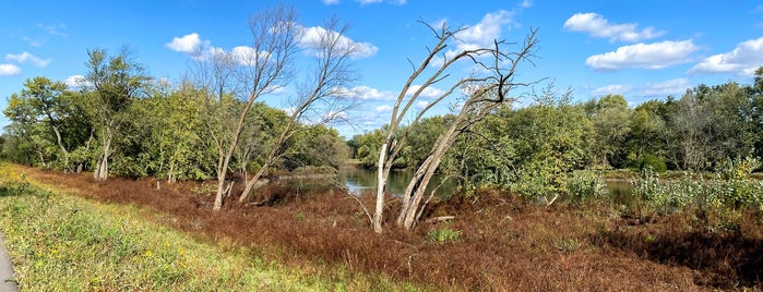 Ottawa Trail Woods is one of Hiking in Northeast Illinois.