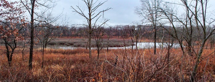 Cranberry Slough is one of Hiking in Northeast Illinois.