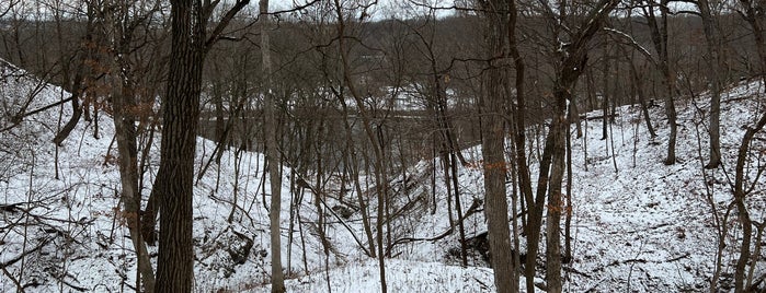 Bluff Spring Fen - Forest Preserves of Cook County