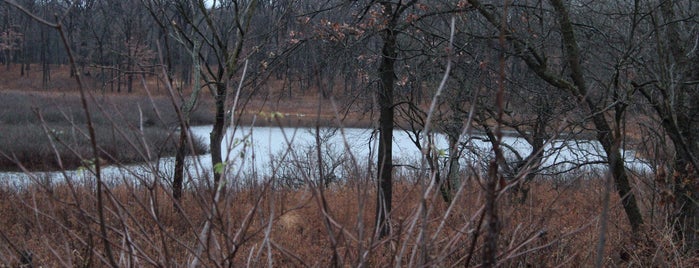 Cranberry Slough is one of Cook County Woods.