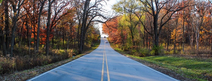 Greene Valley Forest Preserve is one of Activities.