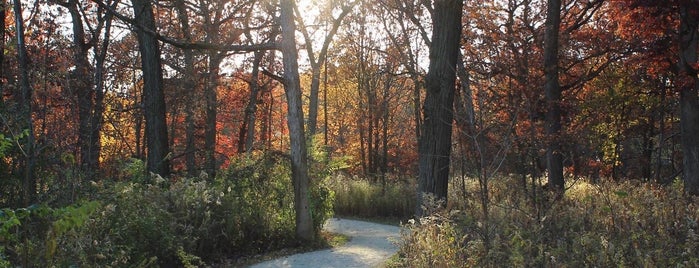 Greene Valley Forest Preserve is one of Hiking in Northeast Illinois.