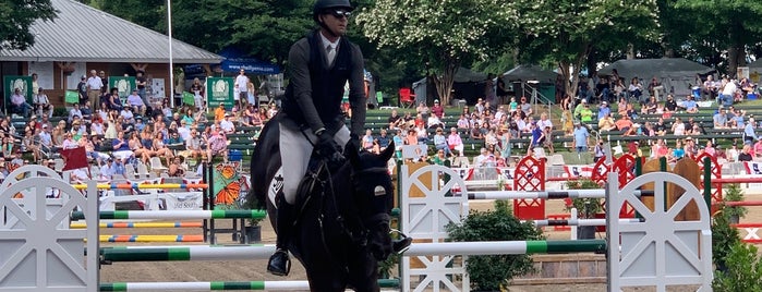 Germantown Horse Show is one of things to do.