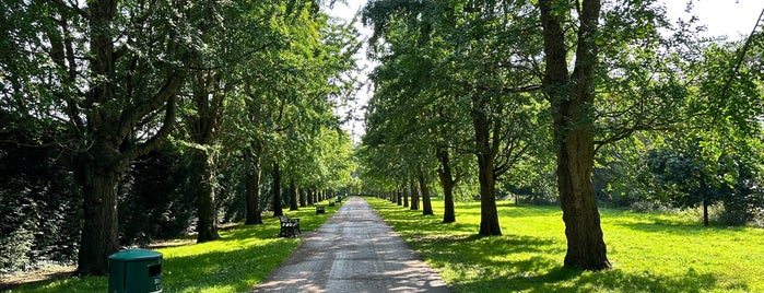 Bute Park is one of Cardiff.