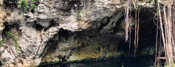 Gran Cenote is one of Yucatan / Mexiko.