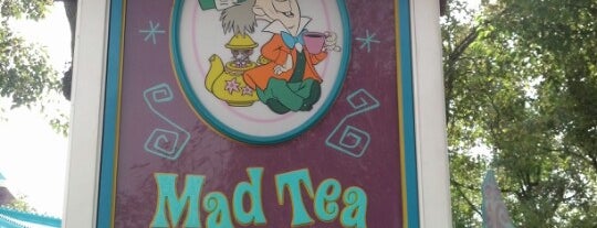 Mad Tea Party is one of Walt Disney World.