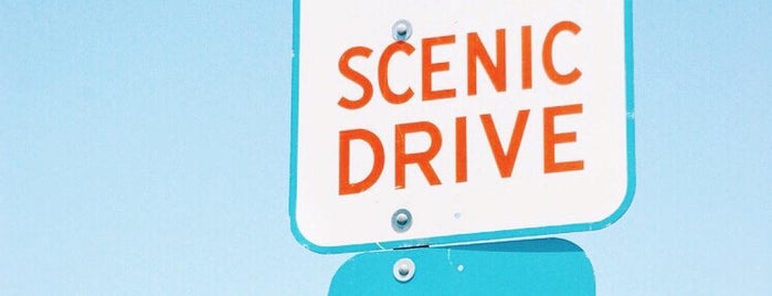 49-Mile Scenic Drive is one of Divya'nın Beğendiği Mekanlar.