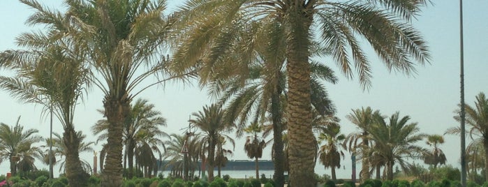 Arabian Gulf Street is one of Lieux qui ont plu à Hashim.