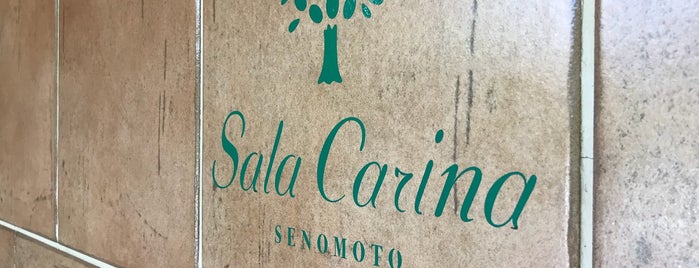 Sala Carina senomoto is one of mGuide O/K 2018.