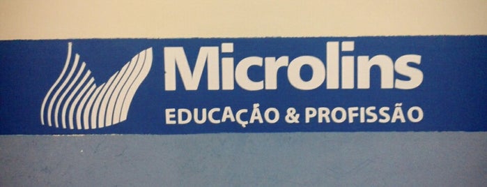 Microlins is one of acervo.
