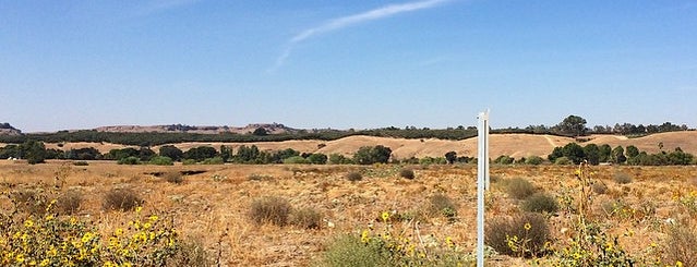 San Joaquin River Trail is one of Tolgaさんのお気に入りスポット.