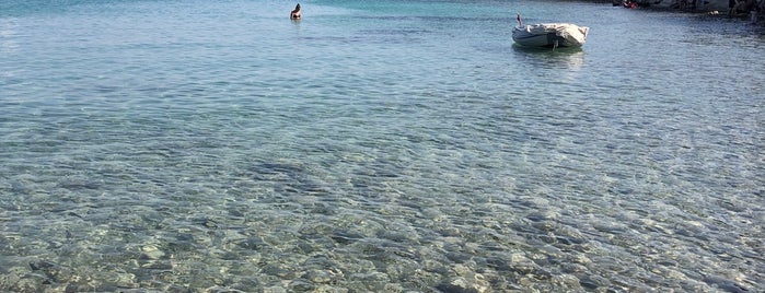 Dalyan Koyu is one of Özlem'in Beğendiği Mekanlar.