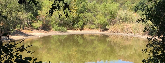 Lake at Descanso Gardens is one of Posti che sono piaciuti a Lisle.