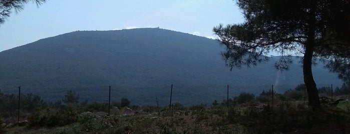 Dağ Ormanı is one of Dr.Gökhan 님이 좋아한 장소.