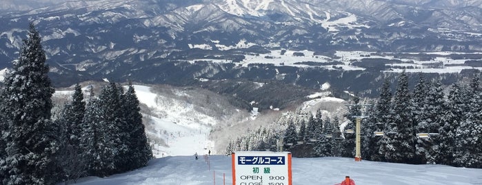 WhitePIA Takasu Ski Area is one of Winter❄️.