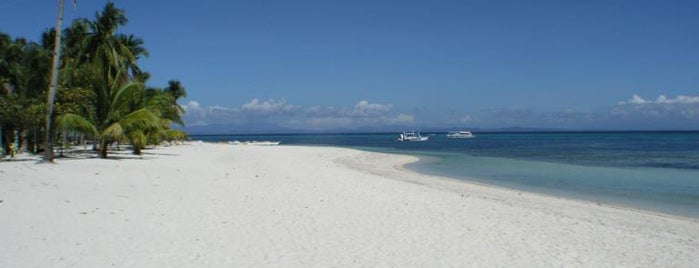 Little Mermaid Dive Resort is one of สถานที่ที่ Novi ถูกใจ.