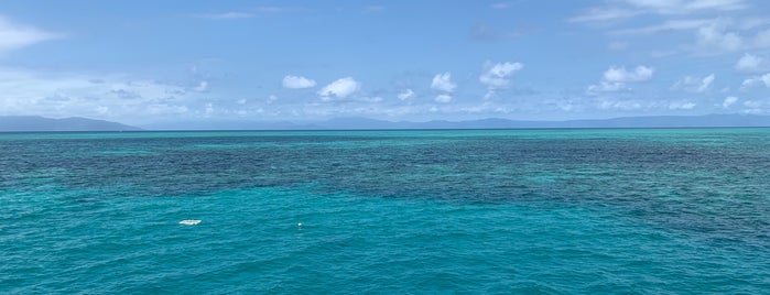 Appolo Reef is one of Oceanía.