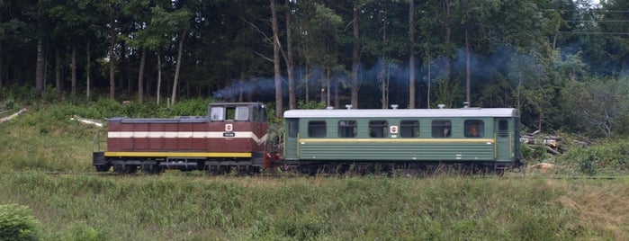 Gulbene – Aluksne railway | Bānītis is one of To see.