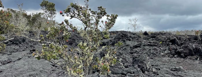 1974 Lava Flow is one of Hawai'i Essentials.