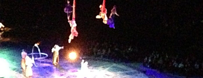 Dralion | Cirque du Soleil is one of Locais curtidos por Stas.