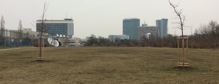 Česka televize - park (volný pohyb psů) is one of Tempat yang Disukai Veronika.