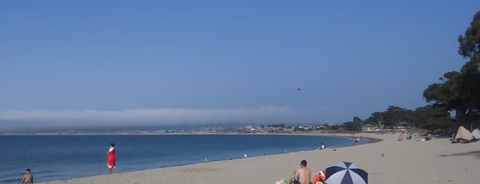 Monterey Municipal Beach is one of Orte, die George gefallen.